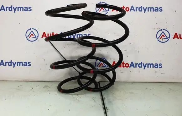 BMW 3 E46 Front coil spring 1093067 31331093067
