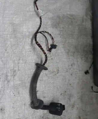 Front door wiring loom