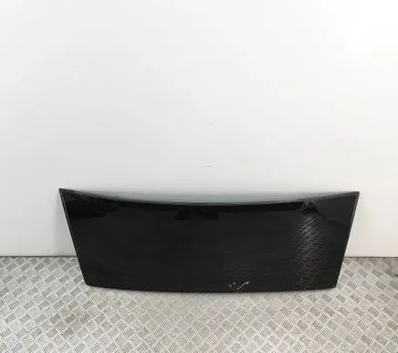 Tesla Model X Sunroof set 103490300P