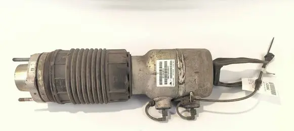 Porsche Panamera (971) Front shock absorber/damper 971616037D 170112143728