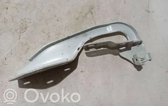 Dacia Duster II Engine bonnet/hood hinges 654019784R