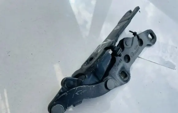 BMW Z4 E89 Engine bonnet/hood hinges 7016172