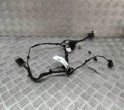 Engine installation wiring loom