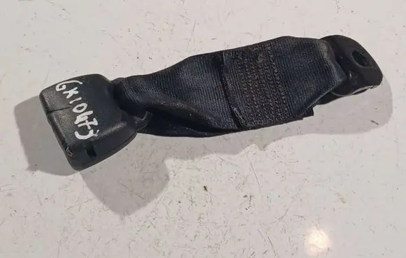 Middle seatbelt buckle (rear)