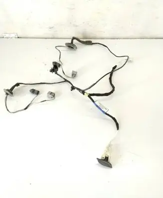 Renault Laguna III Right interior wiring harness 240510031R
