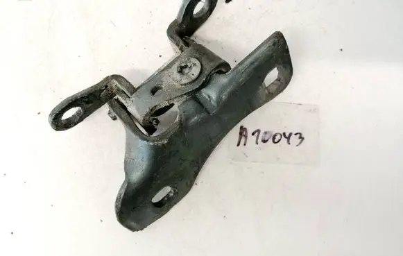 Dodge Magnum Rear door lower hinge
