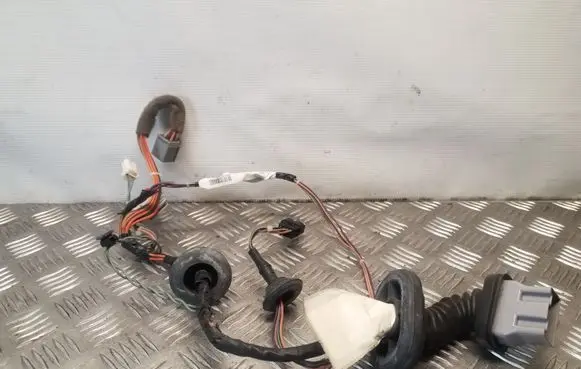 Rear door wiring loom