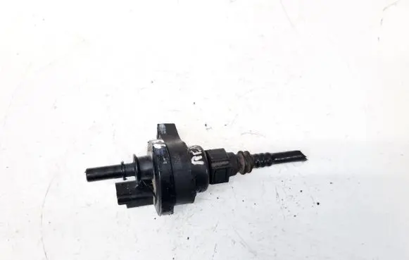 Renault Laguna II Valve vacuum 2580119A