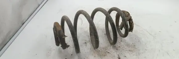 Volkswagen PASSAT B5 Rear coil spring AM00
