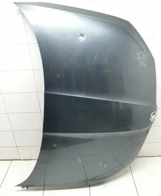 Skoda Fabia Mk3 (NJ) Engine bonnet/hood