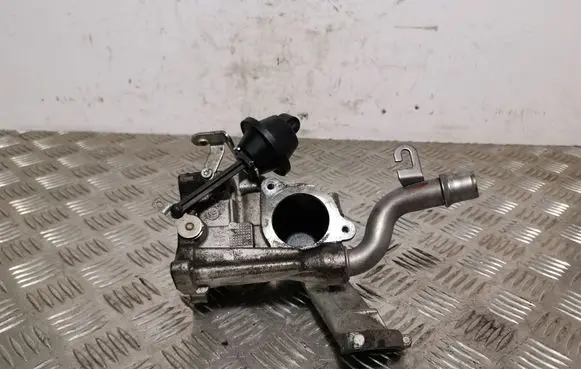 Ford Ecosport EGR valve cooler