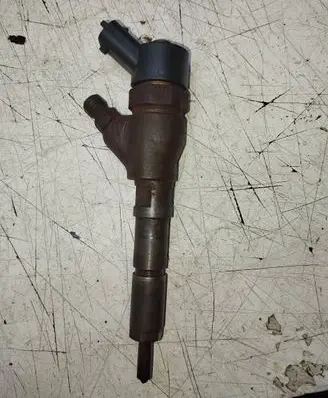 Peugeot 406 Fuel injector 0445110076