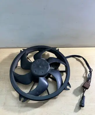 Citroen C5 Electric radiator cooling fan 3000024 082531 420104