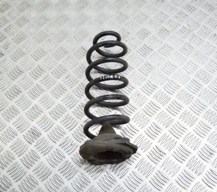 Renault Kadjar Rear coil spring