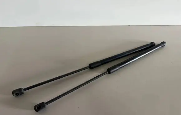 Tailgate/trunk strut/damper