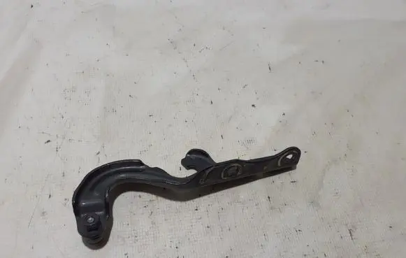 Dodge Durango Engine bonnet/hood hinges 55369562AE