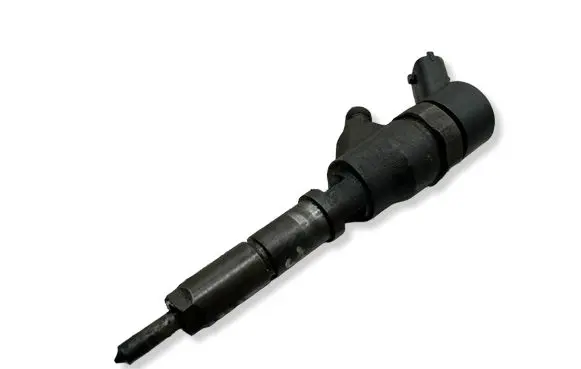 Citroen C5 Fuel injector 0445110076