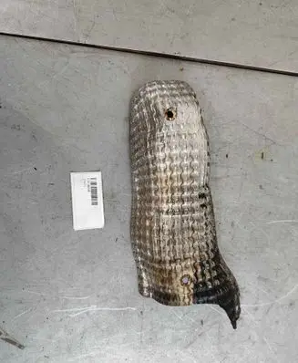 Heat shield in engine bay