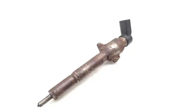 Renault Scenic RX Fuel injector 8200294788 166009445R