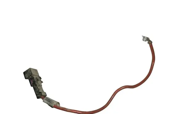 Other wiring loom