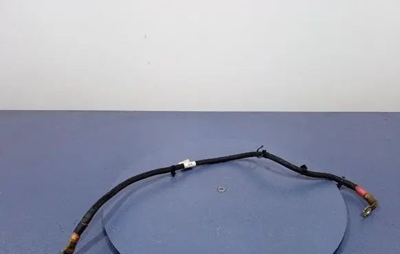 Porsche Panamera (970) Other wiring loom 971971349