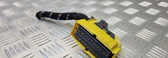 Audi A6 S6 C6 4F Other wiring loom 4F0973100A