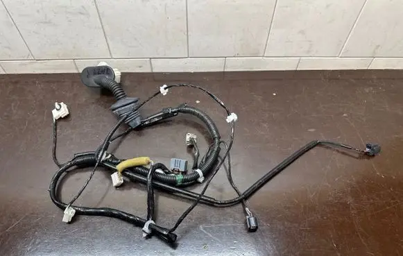 Front door wiring loom