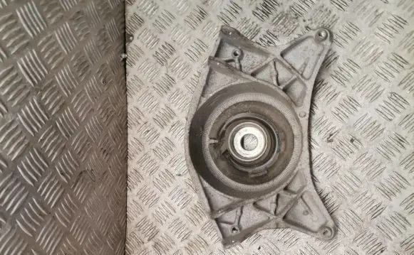 Coil spring mount