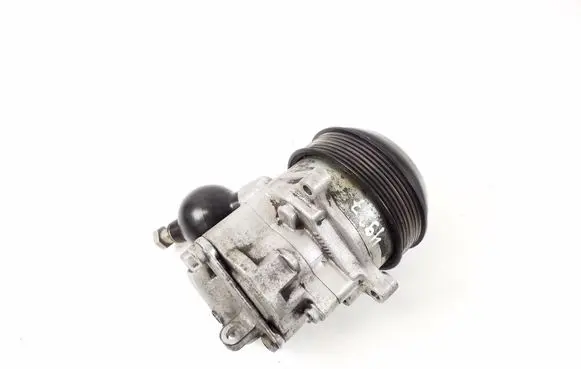 Porsche Panamera (970) Power steering pump 97035905101