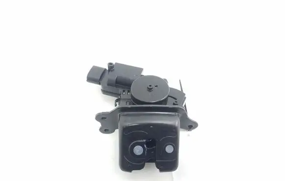 Toyota C-HR I Loading door lock 69350F4010