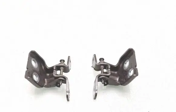 Dacia Logan III Rear door hinge set 