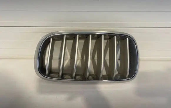 BMW X5 F15 Front bumper upper radiator grill 7316075