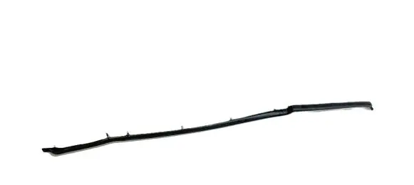Hyundai Ioniq 5 Rubber seal rear door 831B0GI000 50398