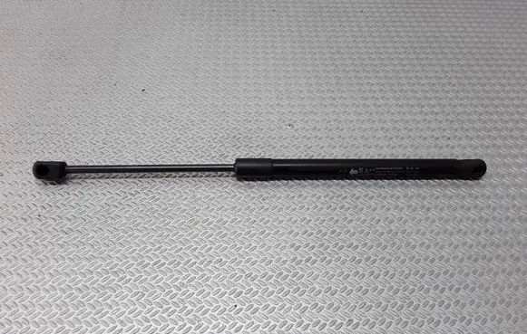 Front bonnet/hood damper/strut