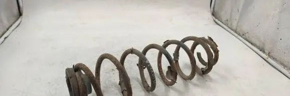 Rear coil spring