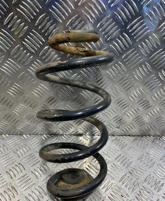Rear coil spring