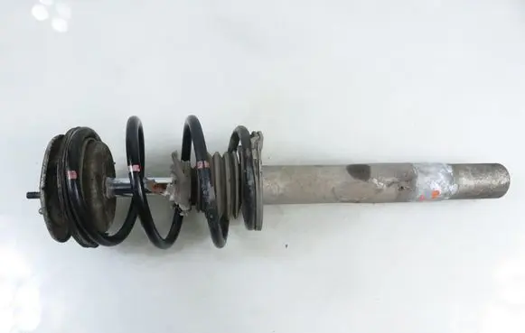 BMW 5 E39 Front shock absorber with coil spring 824904557219 229613