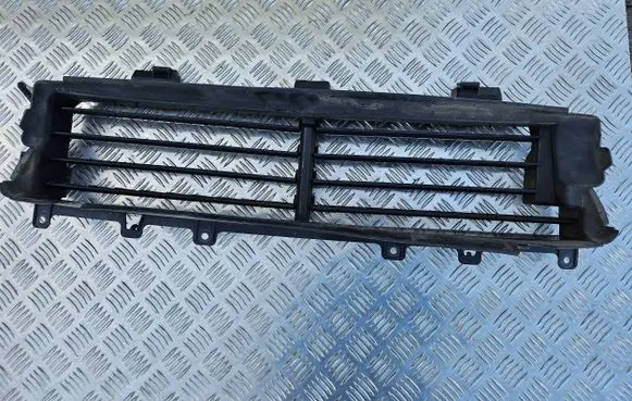 Radiator trim