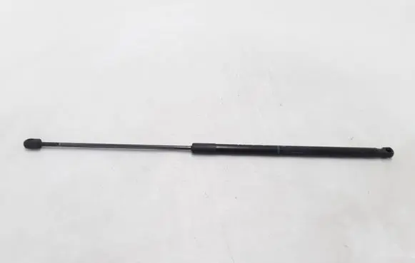 Tailgate strut