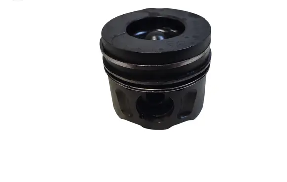 Citroen C5 Piston 