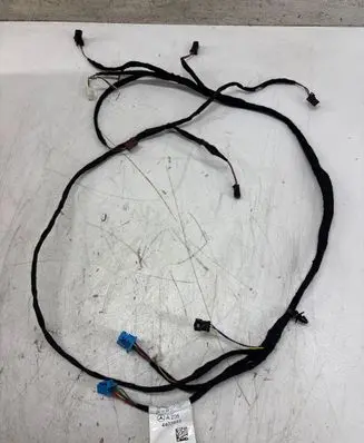 Mercedes-Benz CL C215 Front door wiring loom A2054403933
