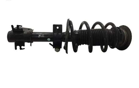 Opel Movano B Front shock absorber with coil spring 543020044R