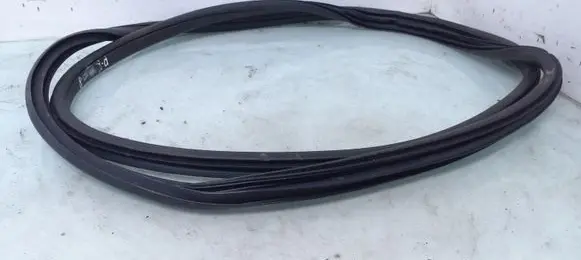Nissan Juke I F15 Front door rubber seal
