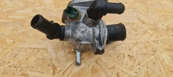 Thermostat/thermostat housing