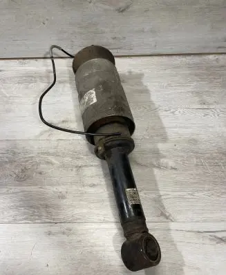 Land Rover Range Rover Sport L320 Air suspension front shock absorber 22231454 2230998 170505c