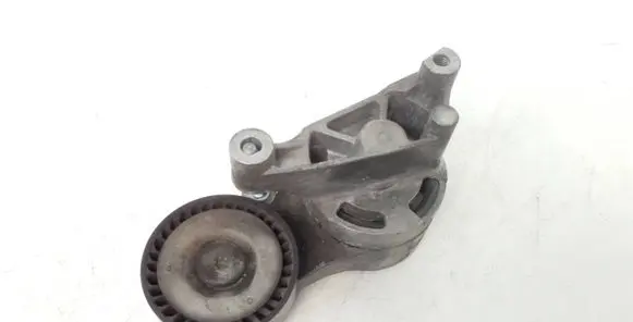 Volkswagen Jetta V Generator/alternator belt tensioner 03g903315