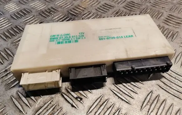 BMW 5 E39 Central body control module 6913520
