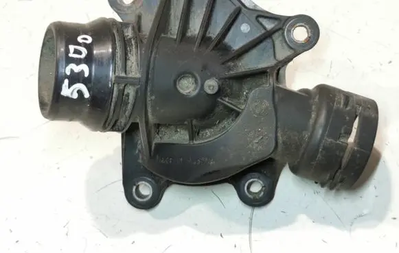 Thermostat/thermostat housing