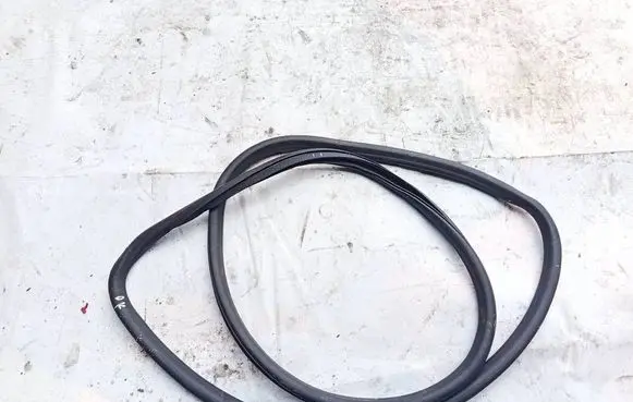 Opel Insignia B Rubber seal front coupe door 