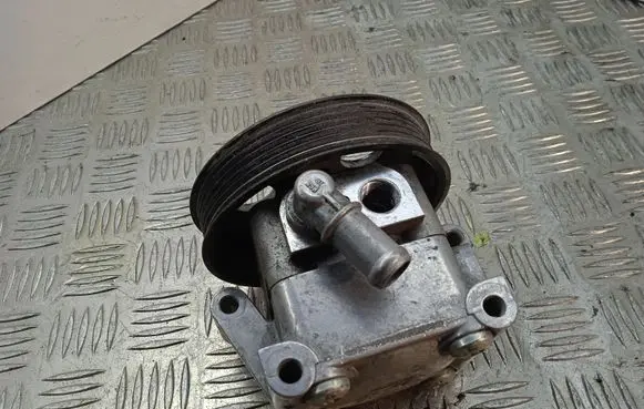 BMW 3 E46 Power steering pump 7613955